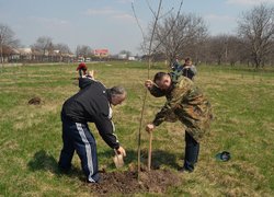 Actions “Clean Environment” and “Plant a Tree”